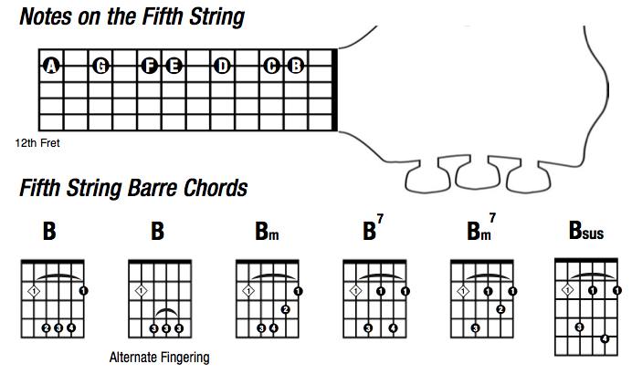 Barre Chords on fifth string