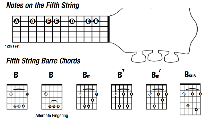 Barre Chord Chart