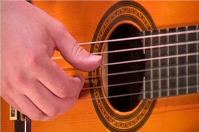 DVD Screenshot