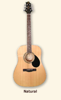 Greg bennett guitar