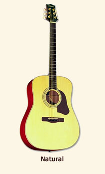 Silvertone sd50 acoustic guitar