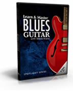 The Blues Guitar Course